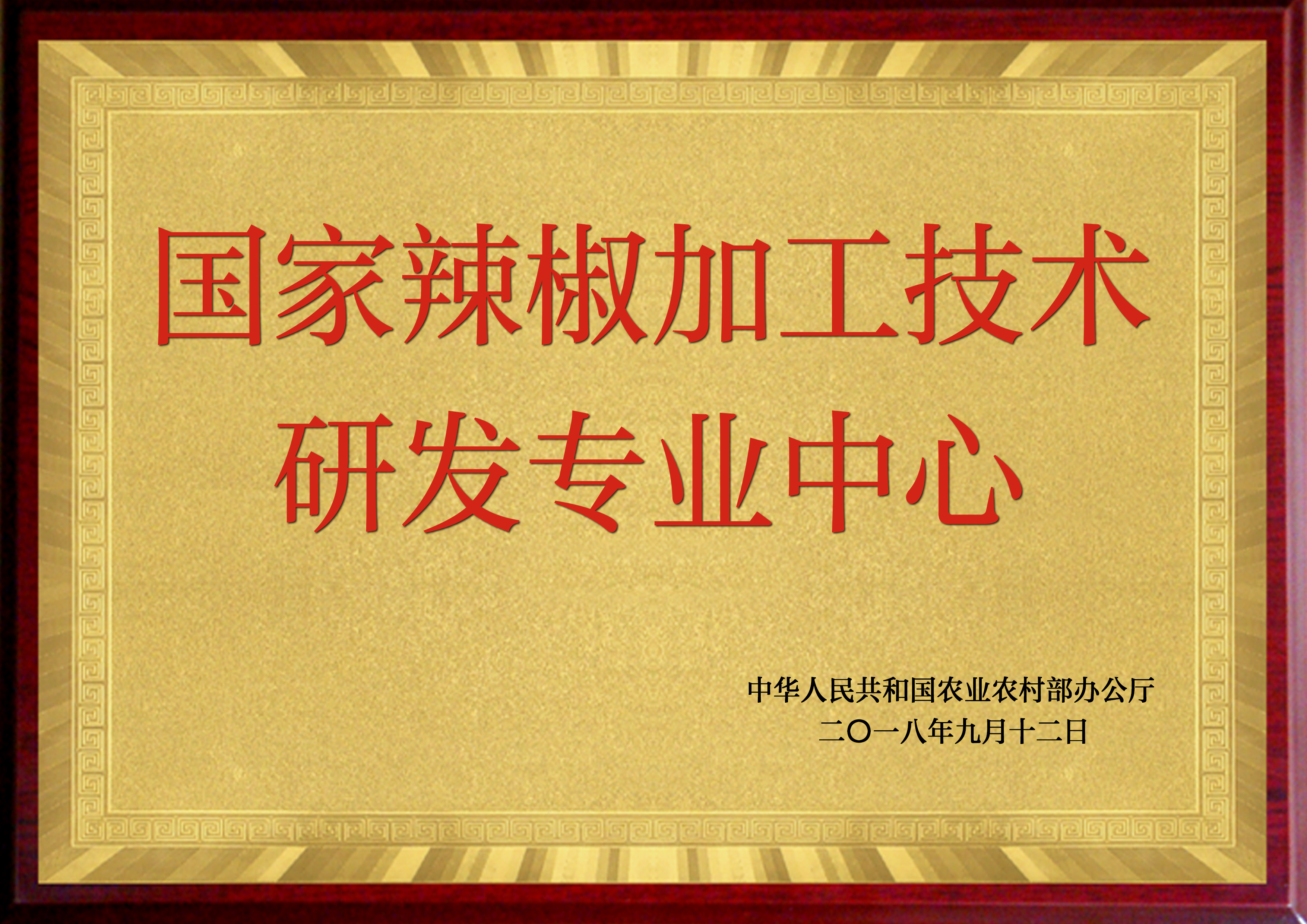 国家辣椒加工技术研发专业中心